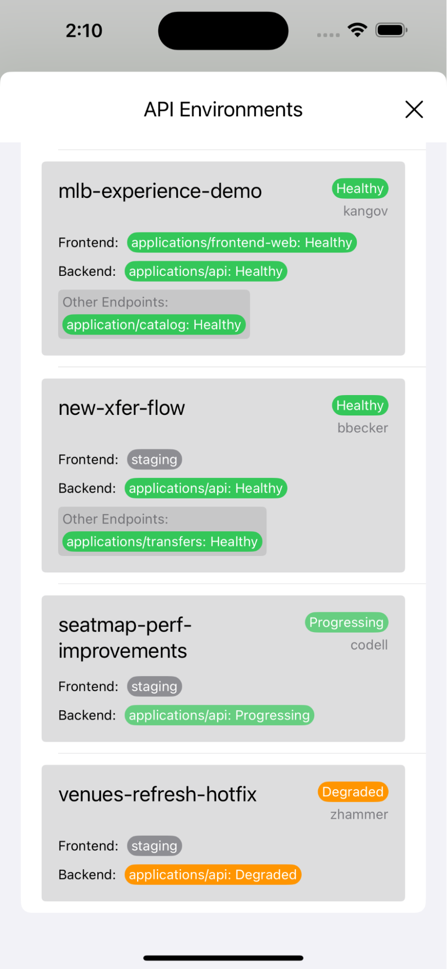 iOS View